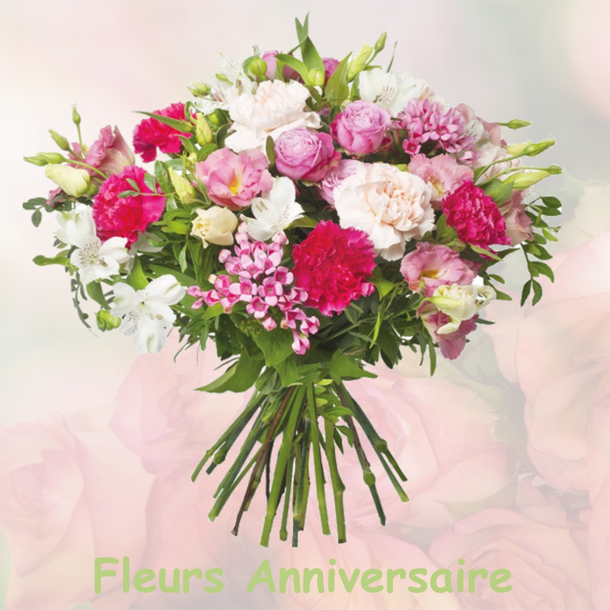 fleurs anniversaire MEZIERES-EN-GATINAIS