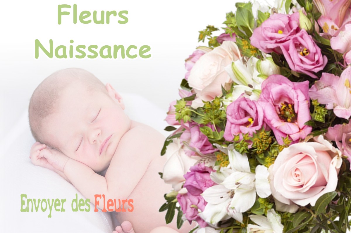 lIVRAISON FLEURS NAISSANCE à MEZIERES-EN-GATINAIS